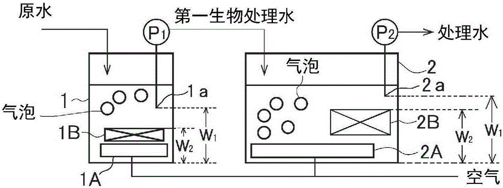 Biological treatment method and biological treatment device for organic waste water