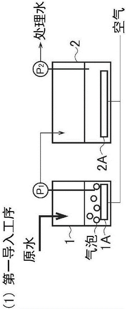 Biological treatment method and biological treatment device for organic waste water