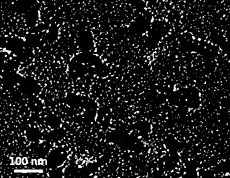 Preparation method of in vivo targeted ovarian cancer cell imaging nano material composed of multifunctional macromolecule and metal-organic frames (MOFs)