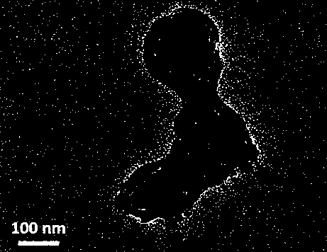 Preparation method of in vivo targeted ovarian cancer cell imaging nano material composed of multifunctional macromolecule and metal-organic frames (MOFs)