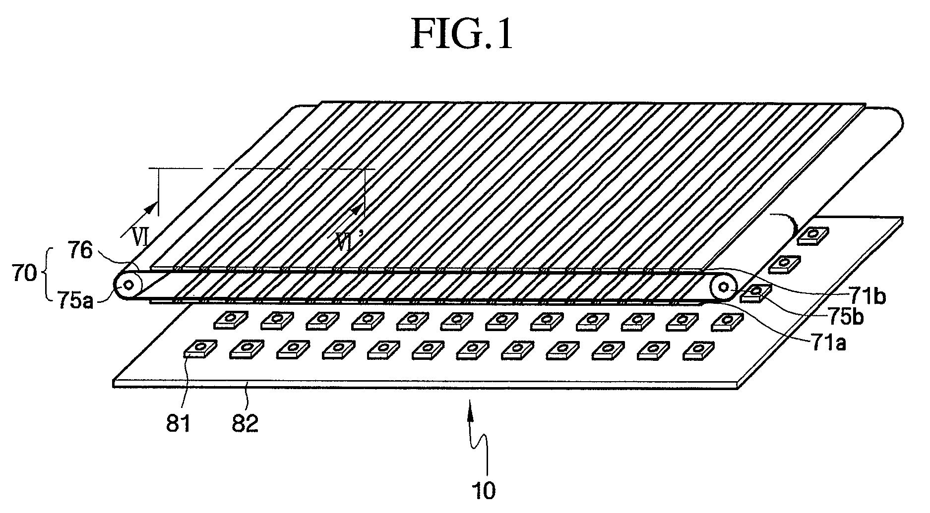 Wavelength conversion member, light source assembly including the wavelength conversion member and liquid crystal display including the light source assembly