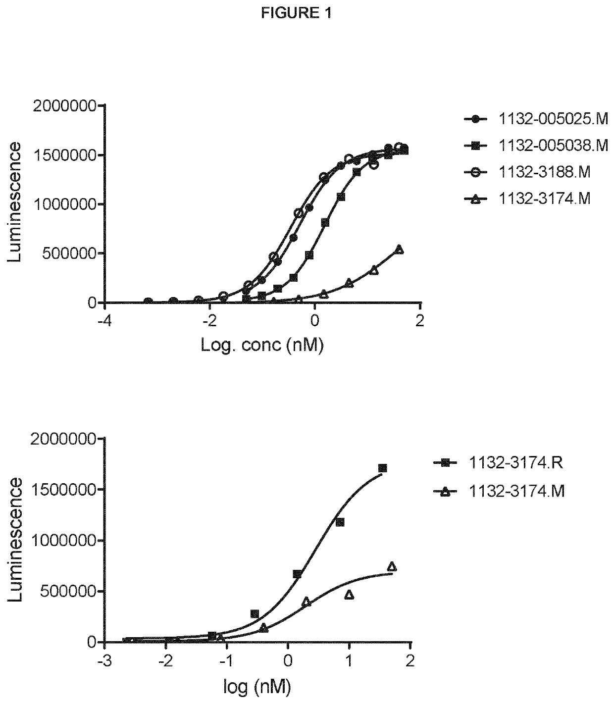 Novel polypeptides