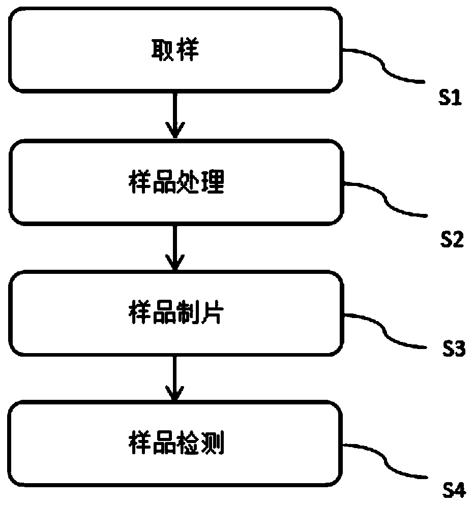 Liquid-based fungus detection method based on flaking method