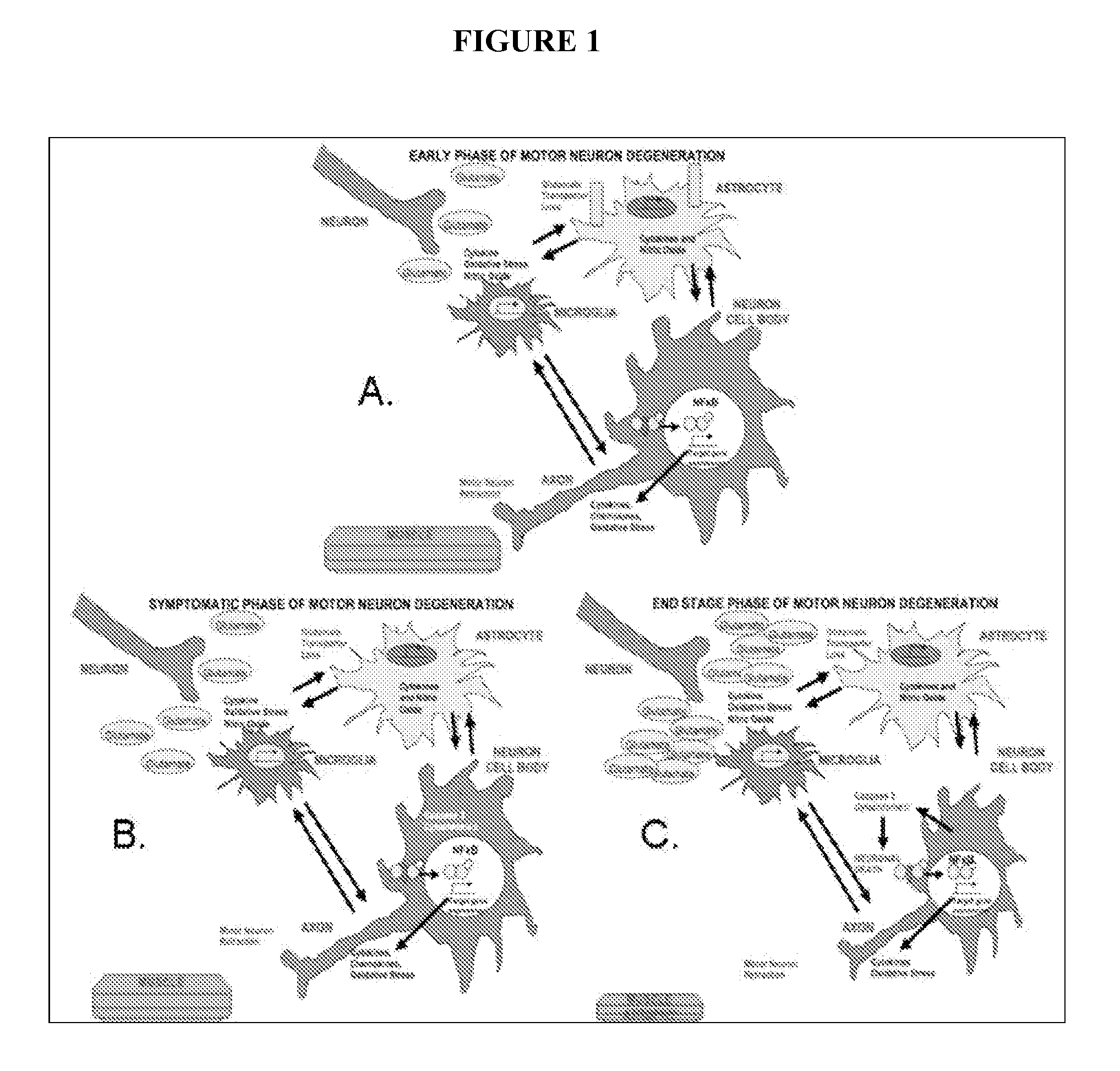 Acth for treatment of amyotrophic lateral sclerosis