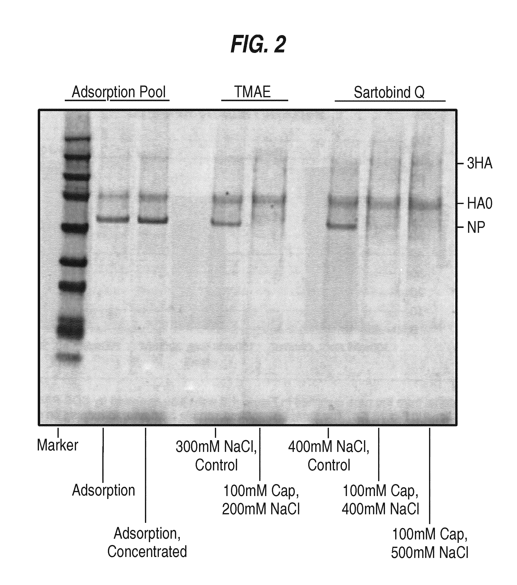 Removal of residual cell culture impurities