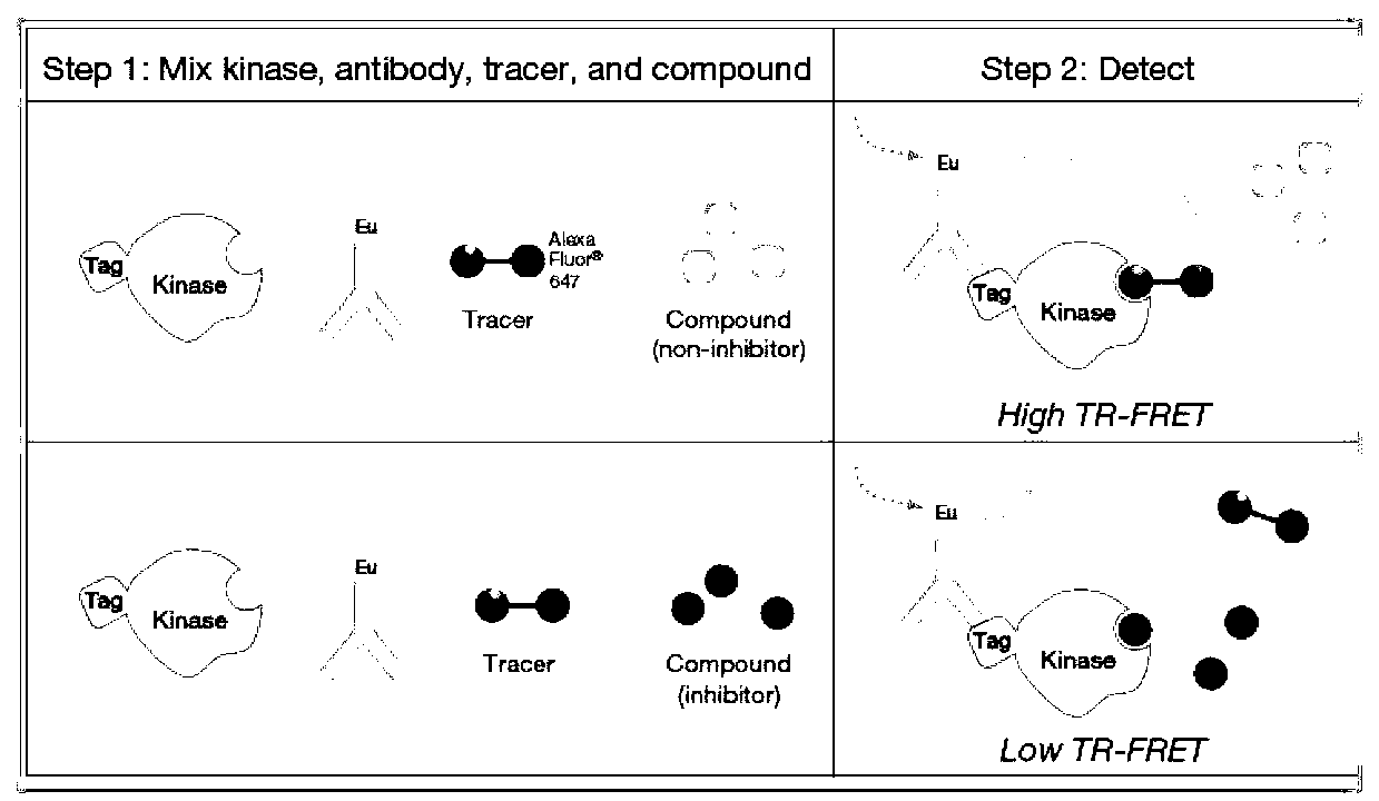 Compound with MEK (Mitogen-activated and Extracellular signal-regulated Kinase) inhibiting function as well as preparation method and application of compound