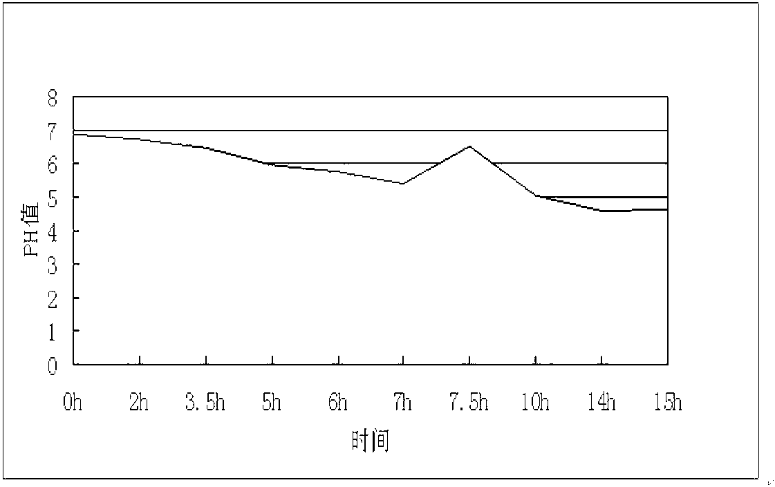 Lactobacillus paracasei and application thereof