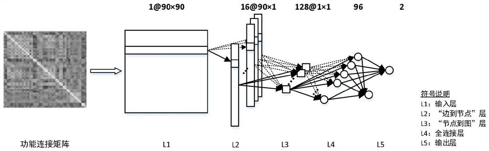 A Classification Method of Human Brain Functional Network Based on Convolutional Neural Network