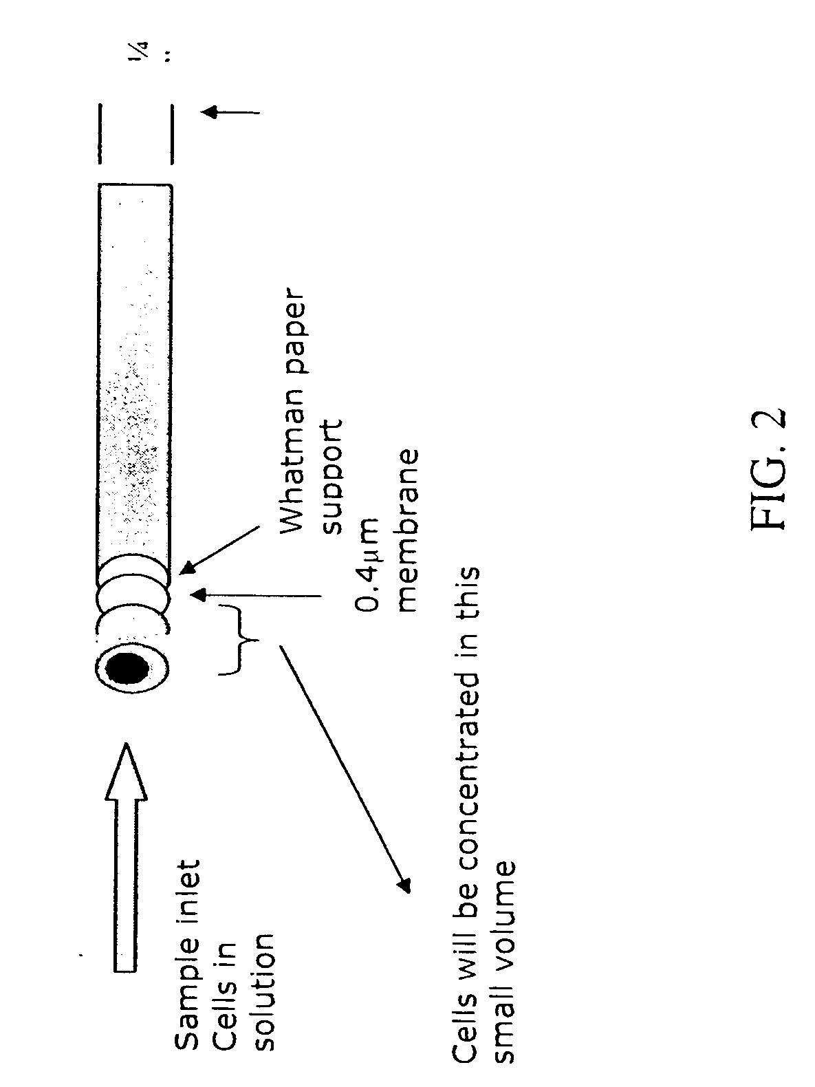 Cell concentration and pathogen recovery