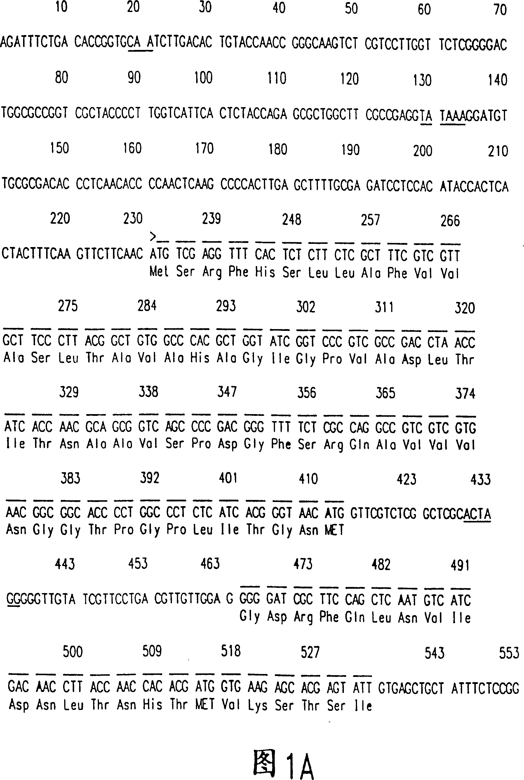 Purified plyporus laccase and nucleic acid for coating the laccase