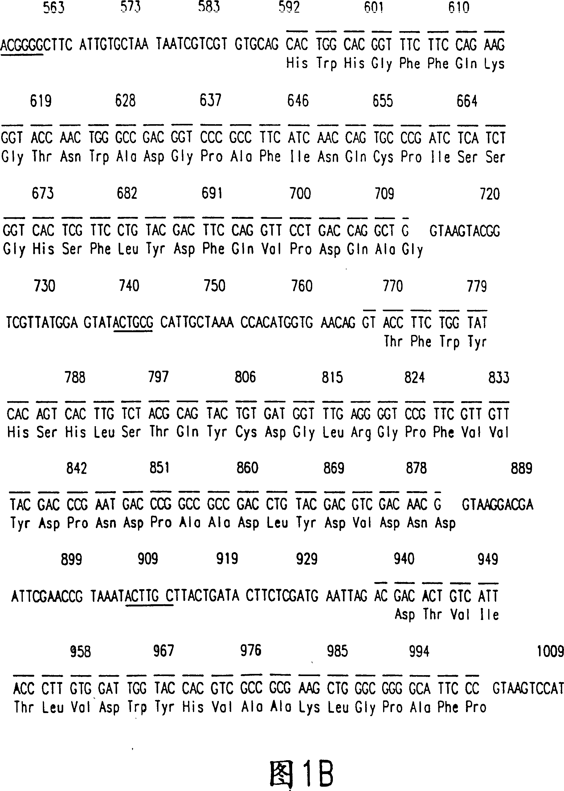 Purified plyporus laccase and nucleic acid for coating the laccase