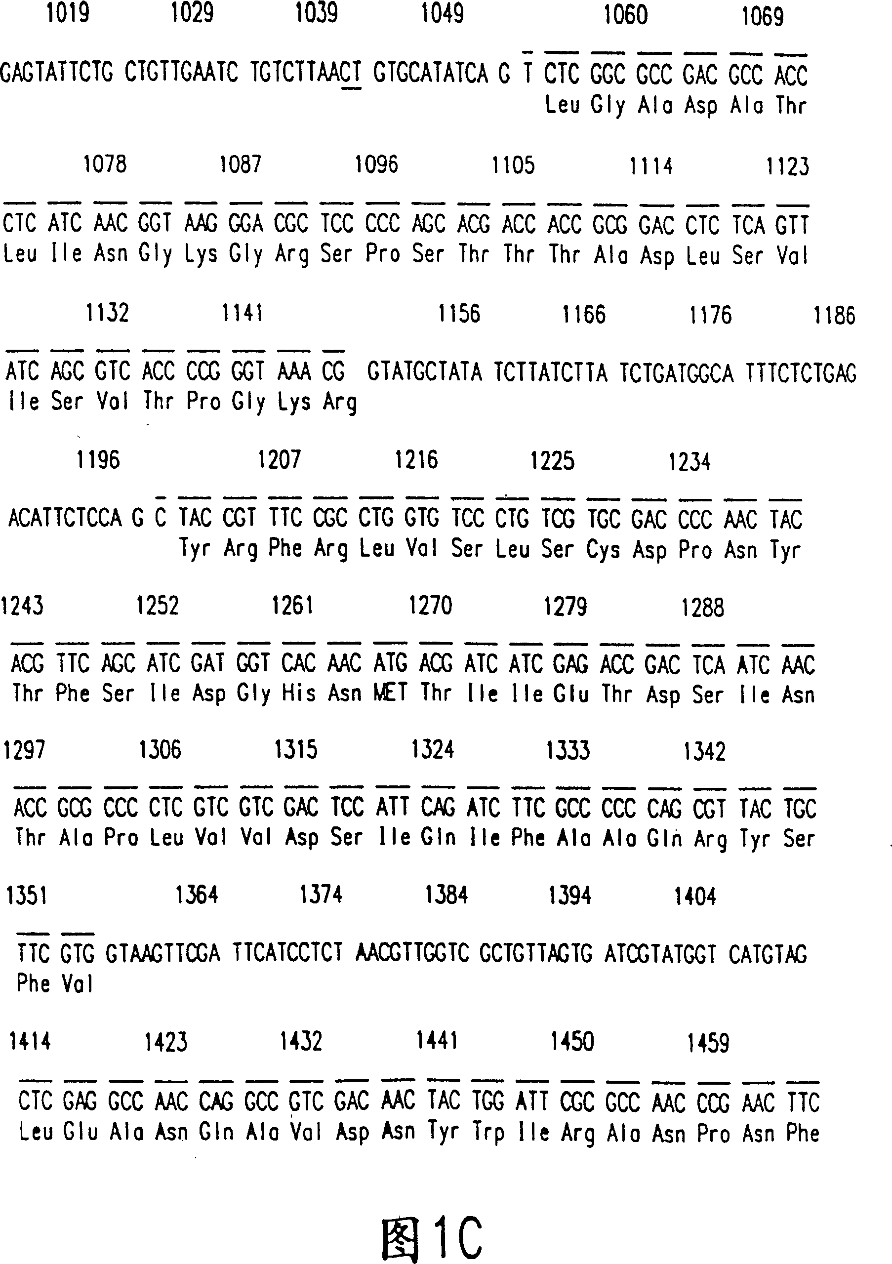 Purified plyporus laccase and nucleic acid for coating the laccase