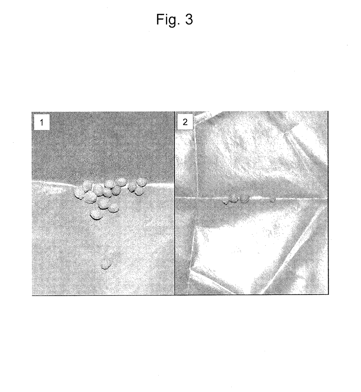 Method for controlling sexuality of hop