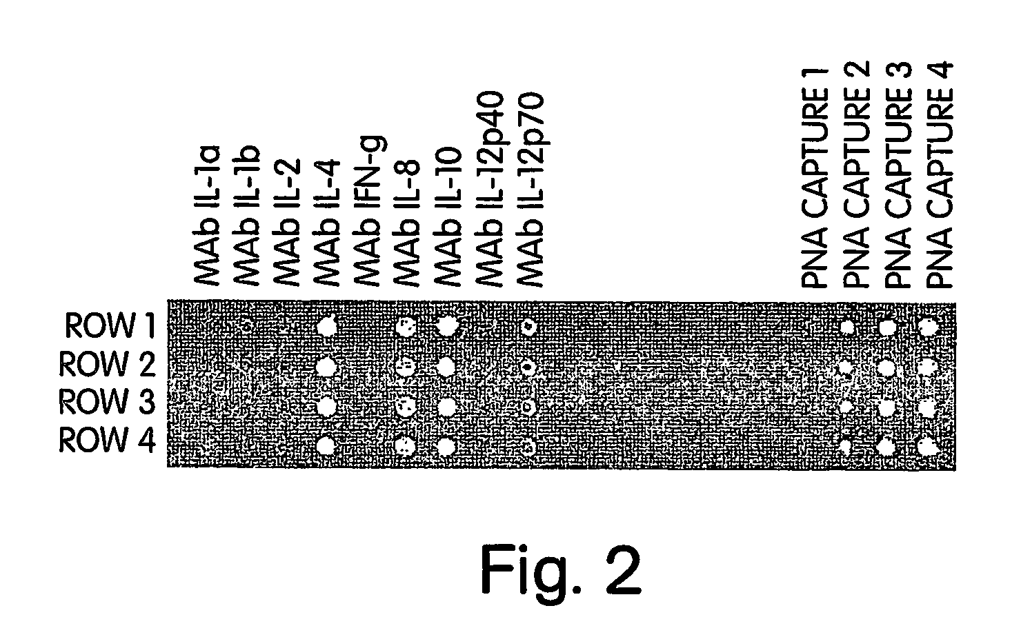 Use of nucleic acid mimics for internal reference and calibration in a flow cell microarray binding assay