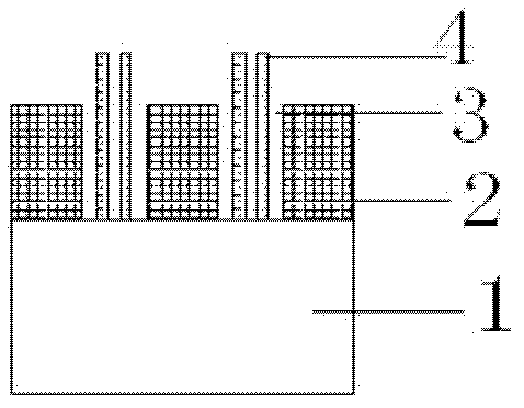 Dye sensitized solar cell photoanode, cell and manufacturing method of photoanode