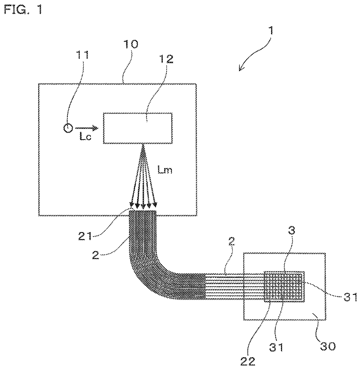 Multi-wavelength light radiating apparatus