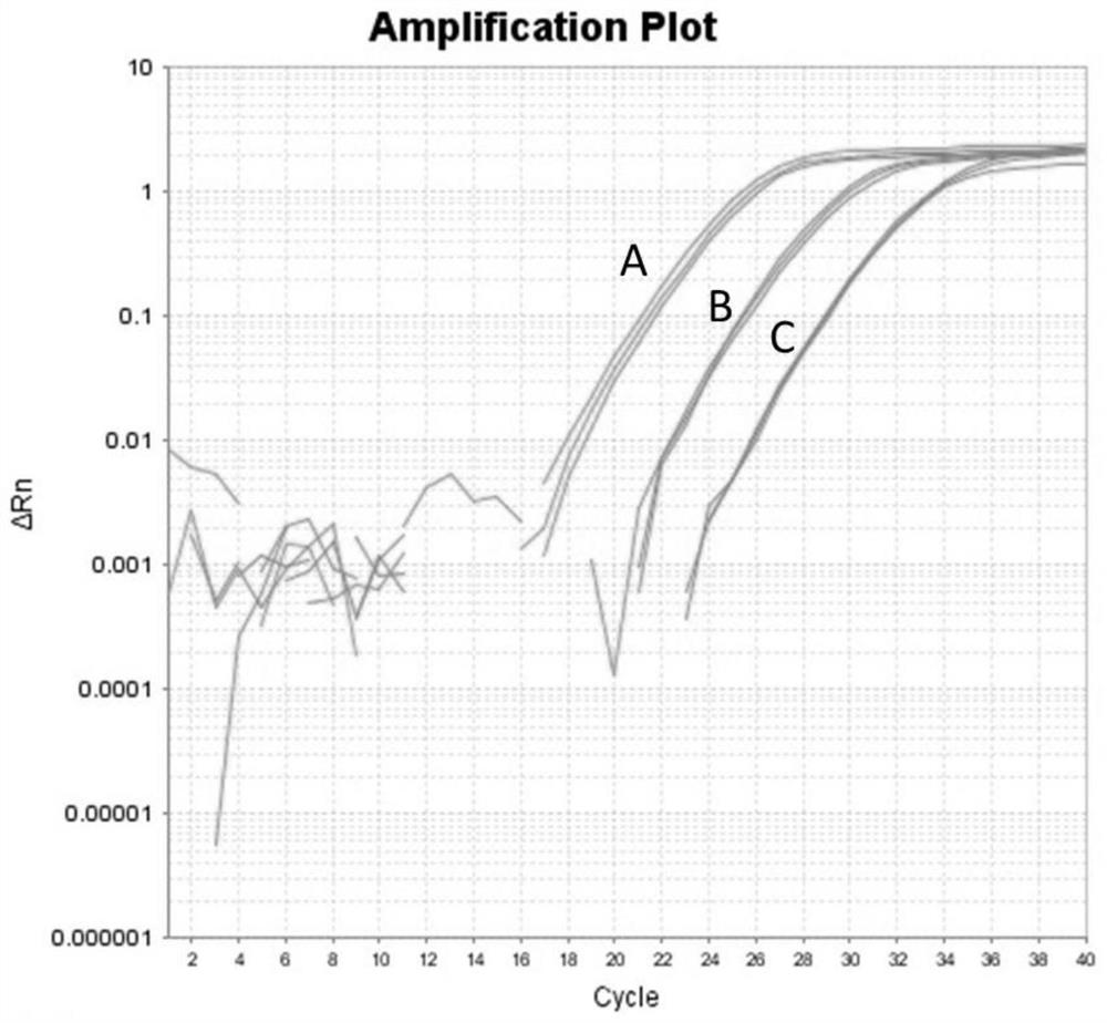 A method for detecting unbalanced expression of plant alleles