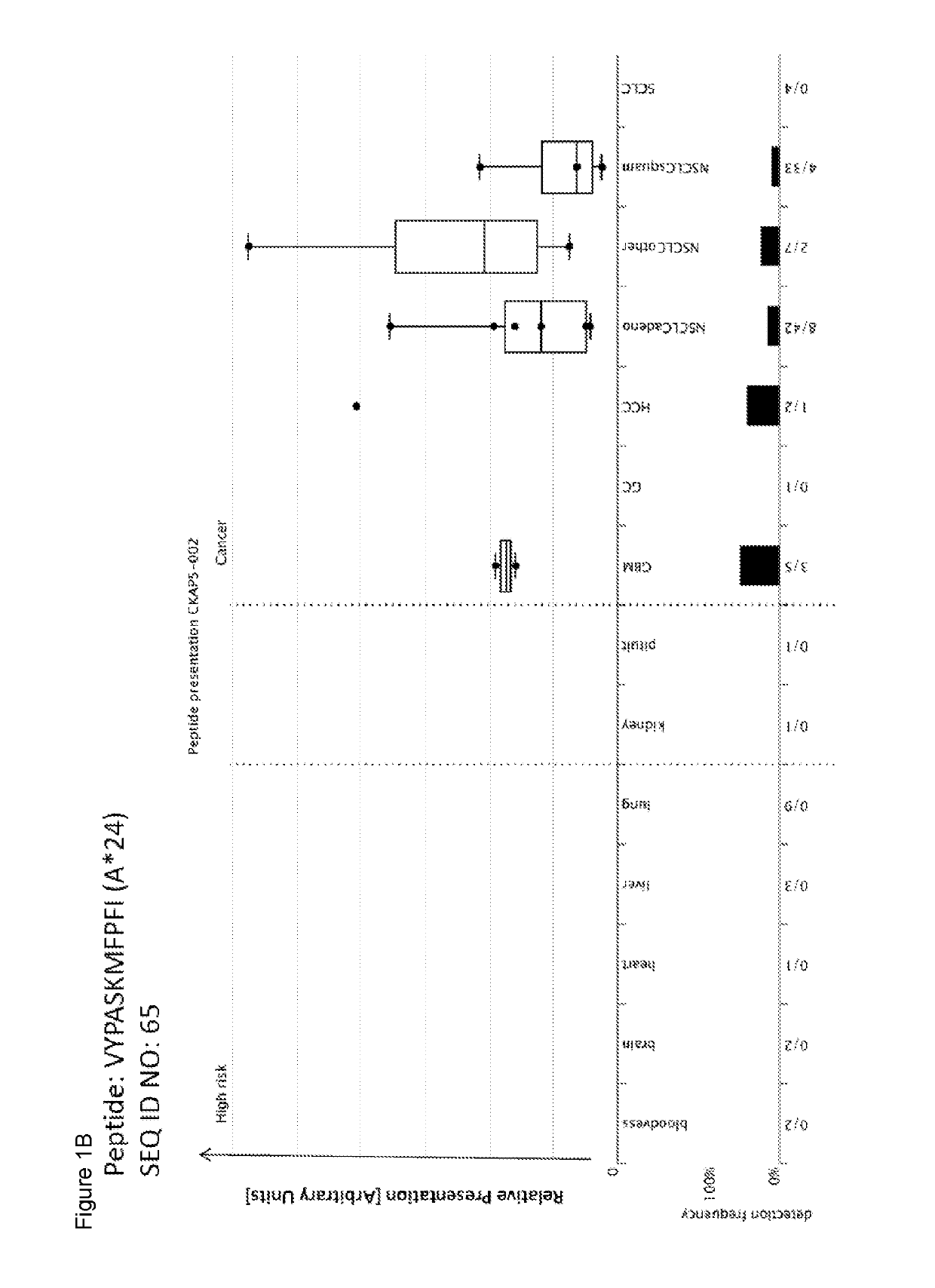 Novel peptides and combination of peptides for use in immunotherapy against lung cancer, including nsclc, sclc and other cancers