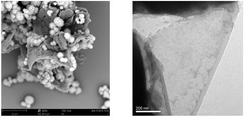 Black phosphorus/ZnIn2S4 composite visible-light-driven photocatalyst and preparation method thereof