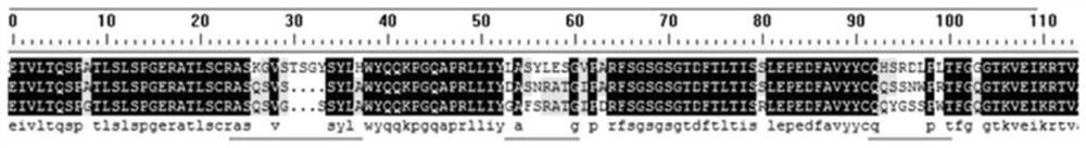 Conjugates of biomolecule and use thereof