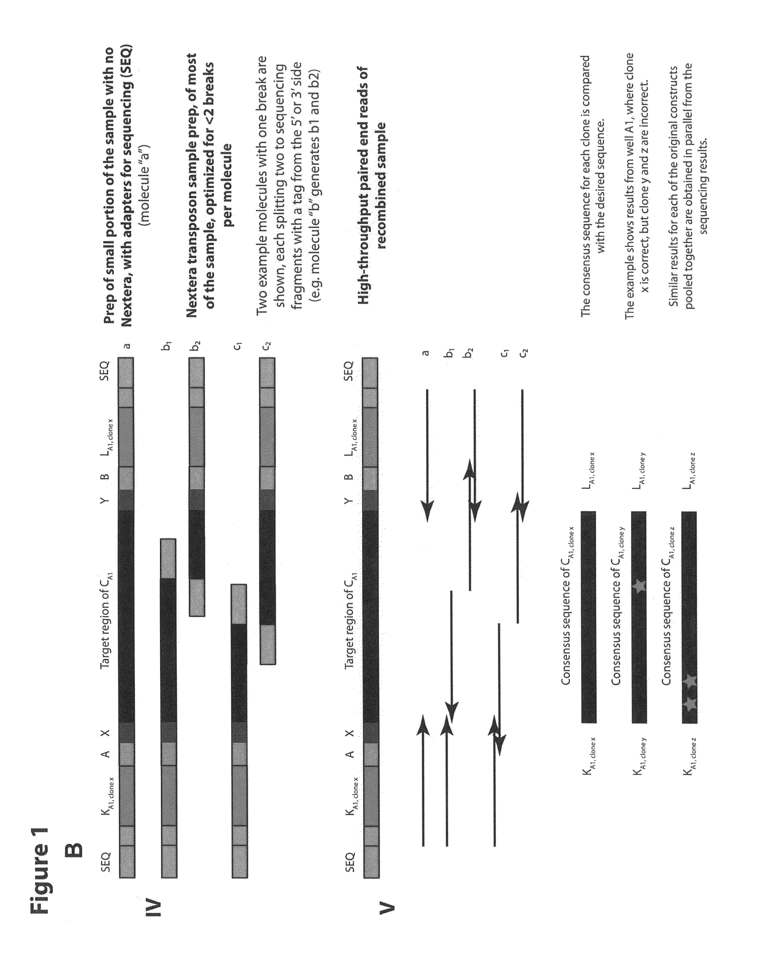 Methods for sorting nucleic acids and multiplexed preparative in vitro cloning