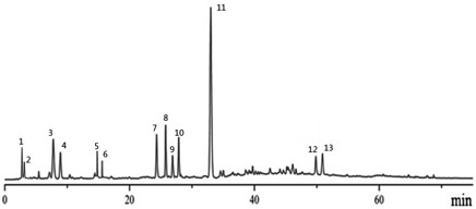 A method for determining the fingerprint of Shenzhiling preparation