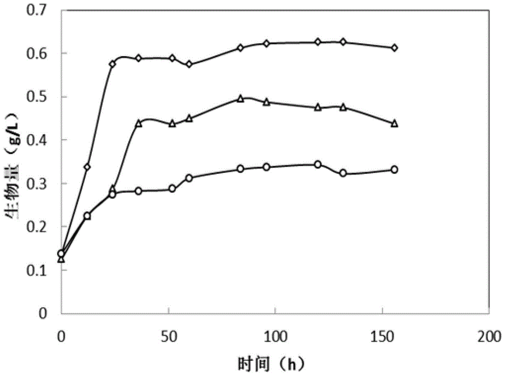 Method for culturing chlorella by heterotrophism with sludge hydrolysate