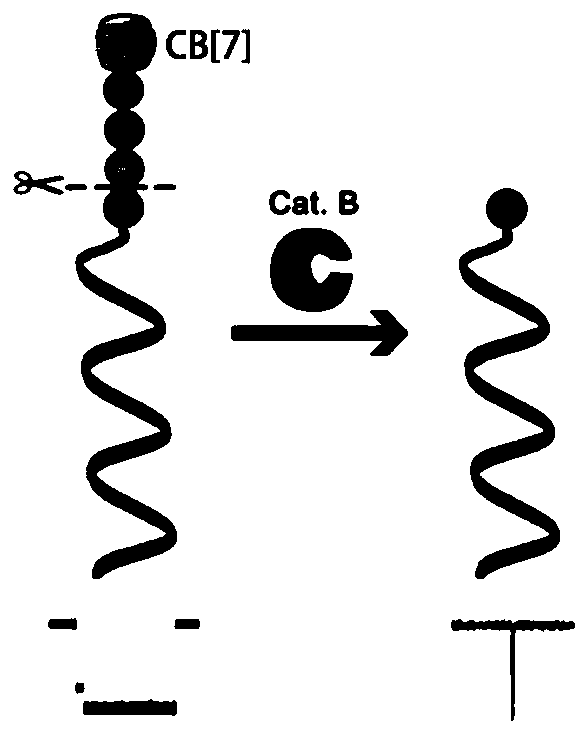 Method for detecting enzymatic activity concentration through combined use of subject and object probes and nanopore technique