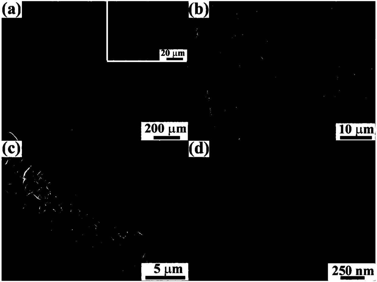 Three-dimension carbon cloth/nickel iron layer shaped hydroxide nanosheet composite material and application thereof