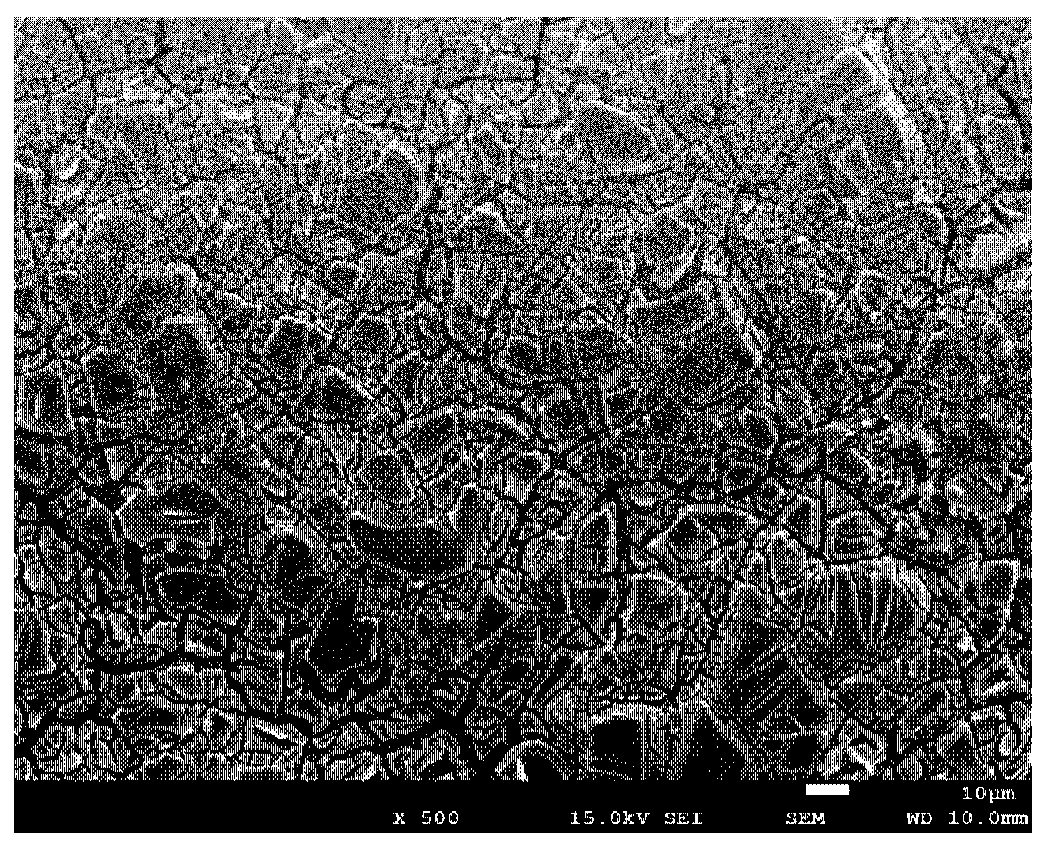 Electrocatalytic coating composition, dimensionally stable anode, preparation method and application