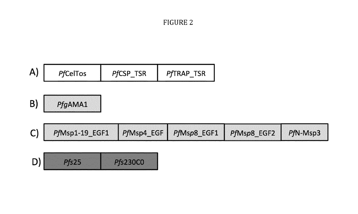 Multi-component-multistage malaria vaccines