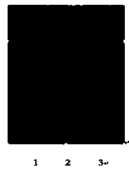 Mycoplasma bovis detection test strip and preparation method thereof