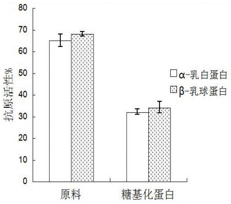 Hypoallergenic whey protein powder based on enzyme-method galactosylated modification and preparation method thereof