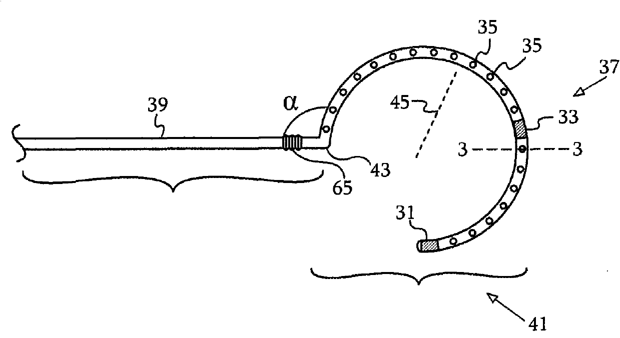 Dual-purpose lasso catheter with irrigation