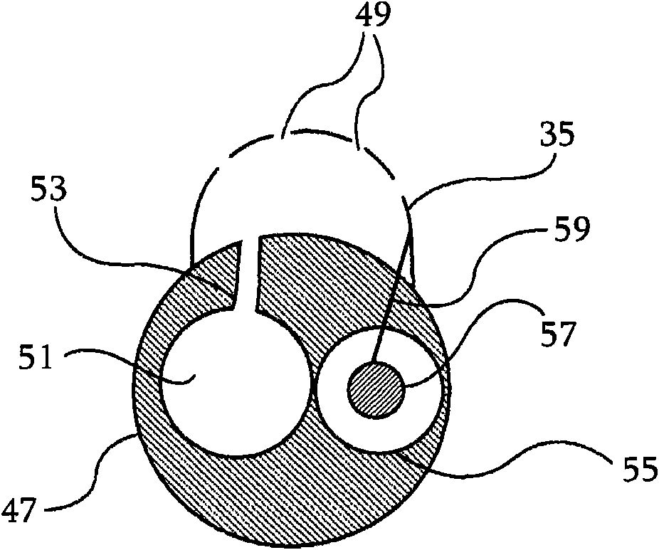 Dual-purpose lasso catheter with irrigation