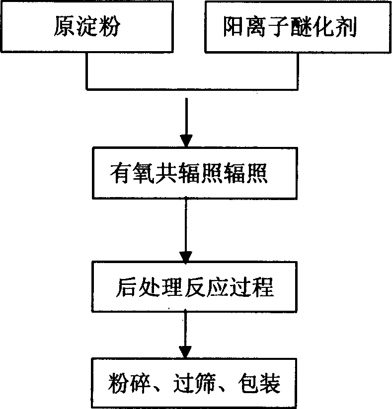 Irradition initiating process for preparing cationic starch