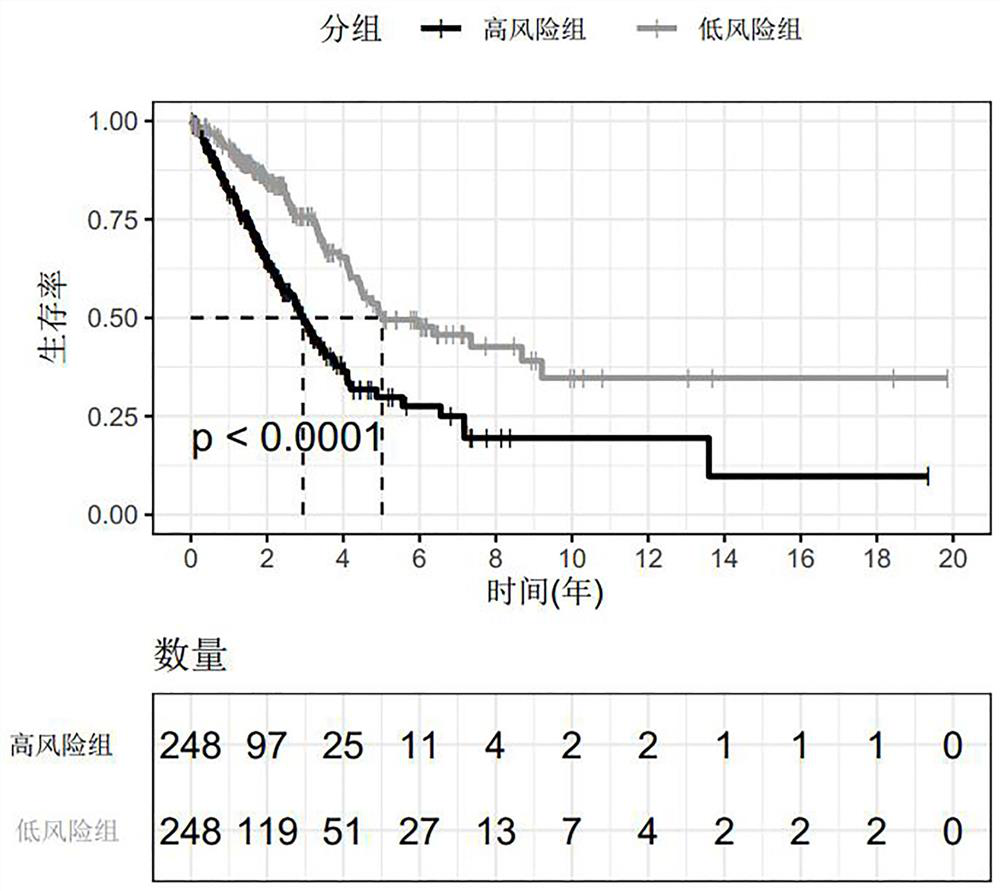 Product for predicting prognosis of lung cancer based on biomarker and related application