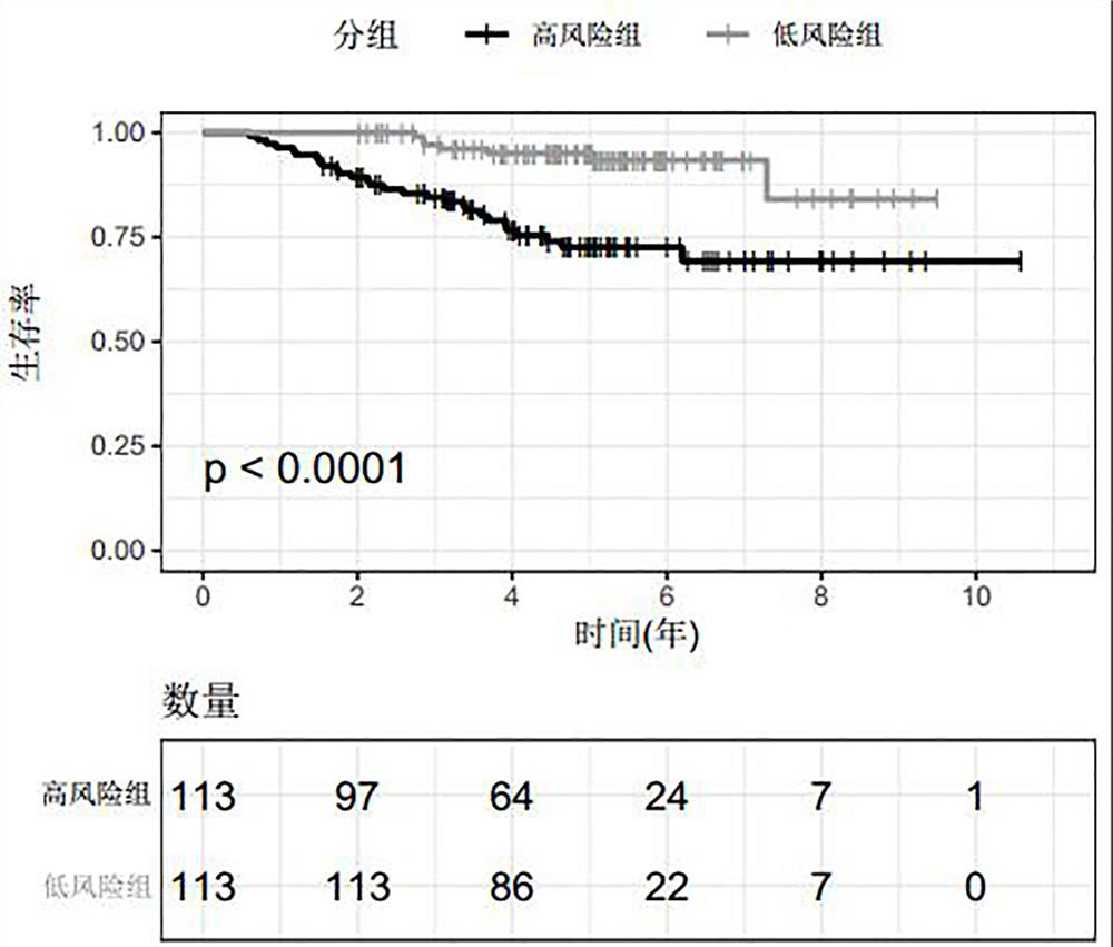 Product for predicting prognosis of lung cancer based on biomarker and related application