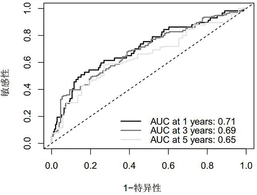 Product for predicting prognosis of lung cancer based on biomarker and related application