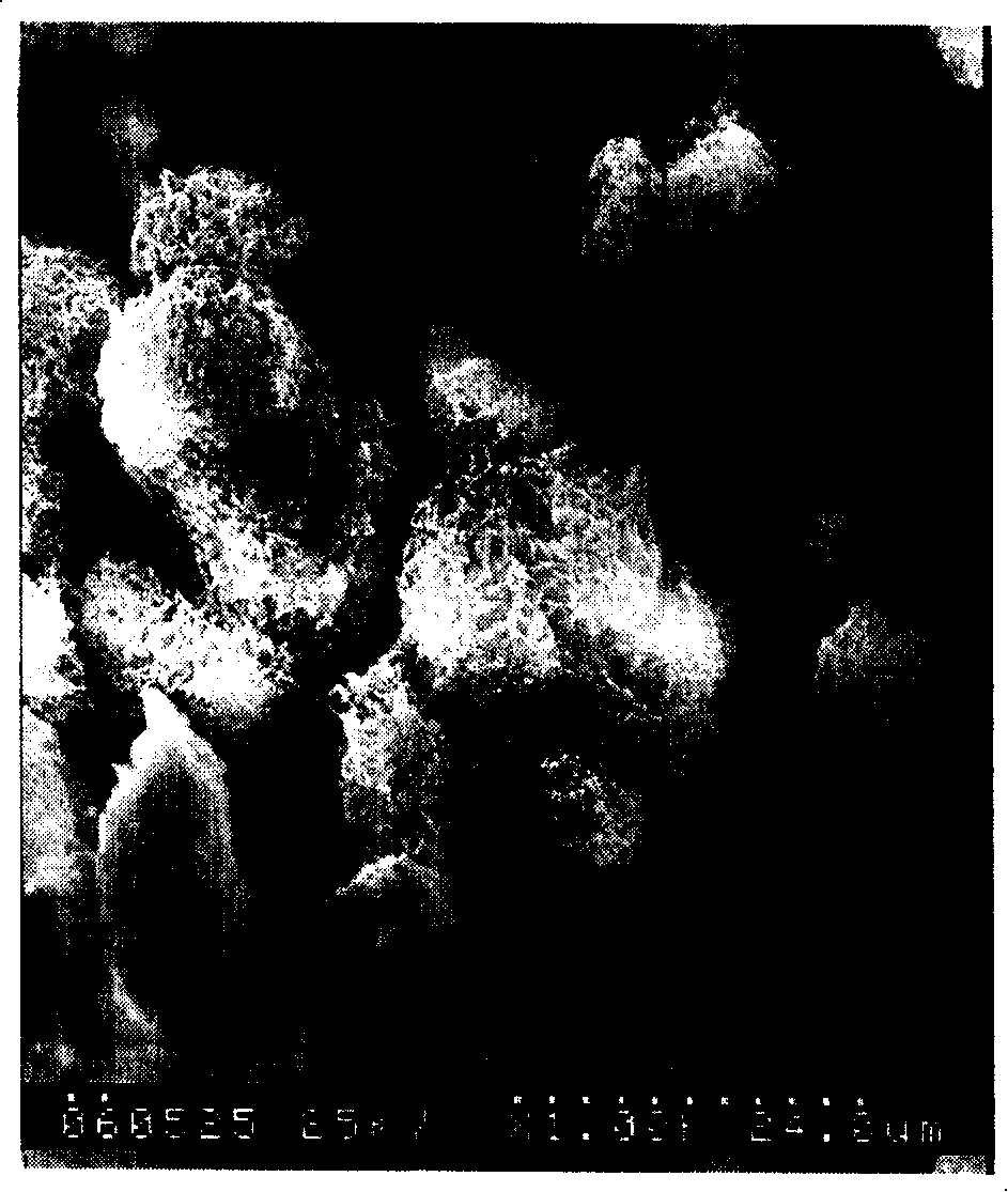 Method for preparing polyvinylidene fluoride microporous filtering film