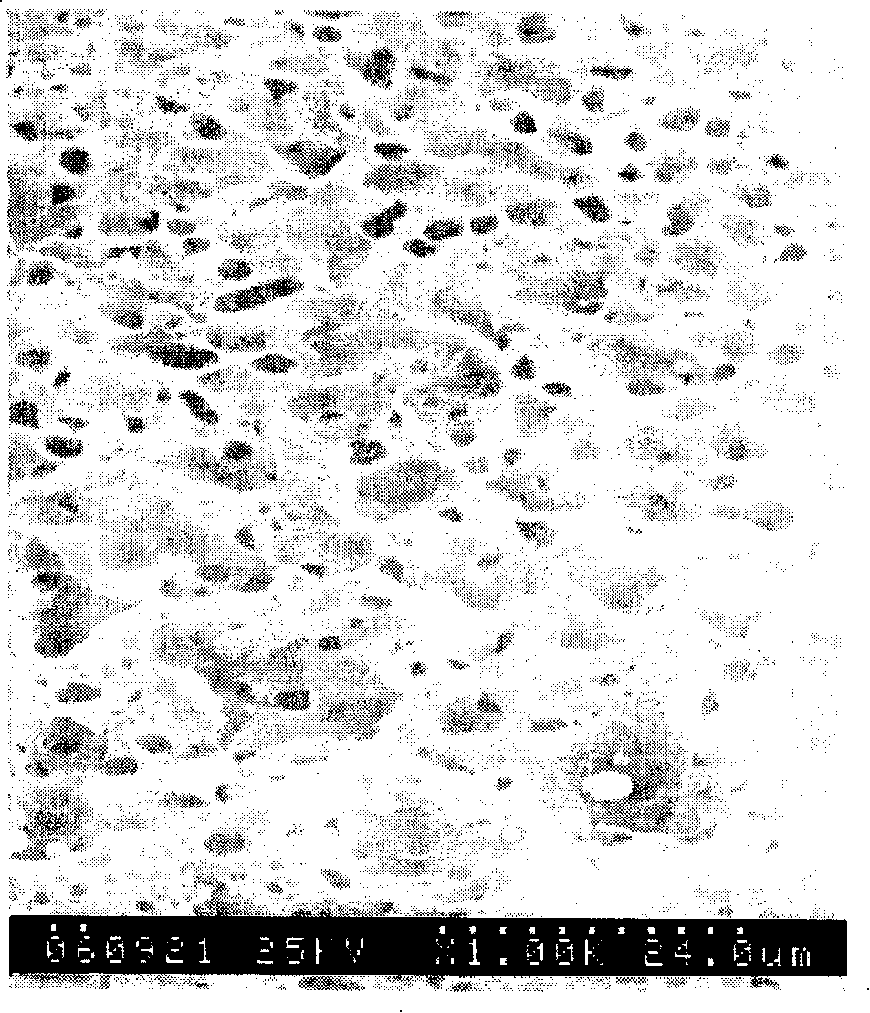 Method for preparing polyvinylidene fluoride microporous filtering film