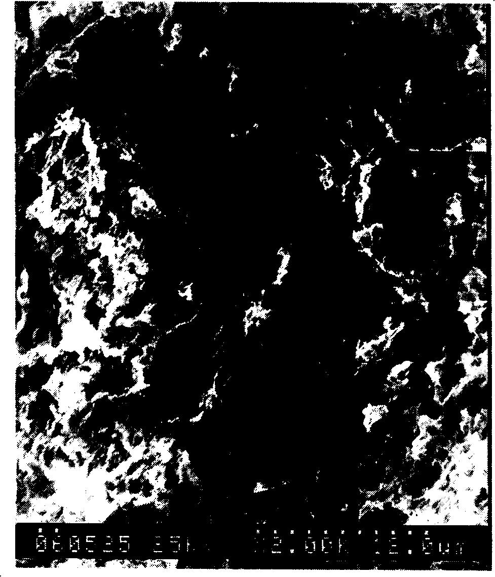 Method for preparing polyvinylidene fluoride microporous filtering film