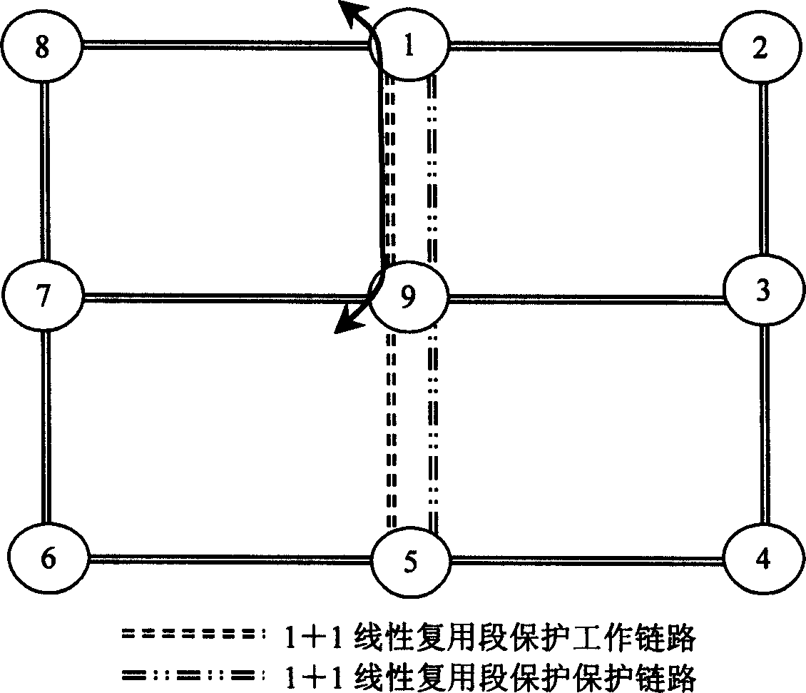 Method for controlling plane participation protective rotation in ASON network