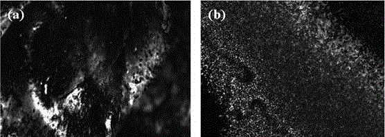 Liquid crystal copolymer with electric storage characteristics and preparation method thereof, and application of copolymer in electric storage