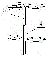 Process for accurate pruning of camellia oleifera trees