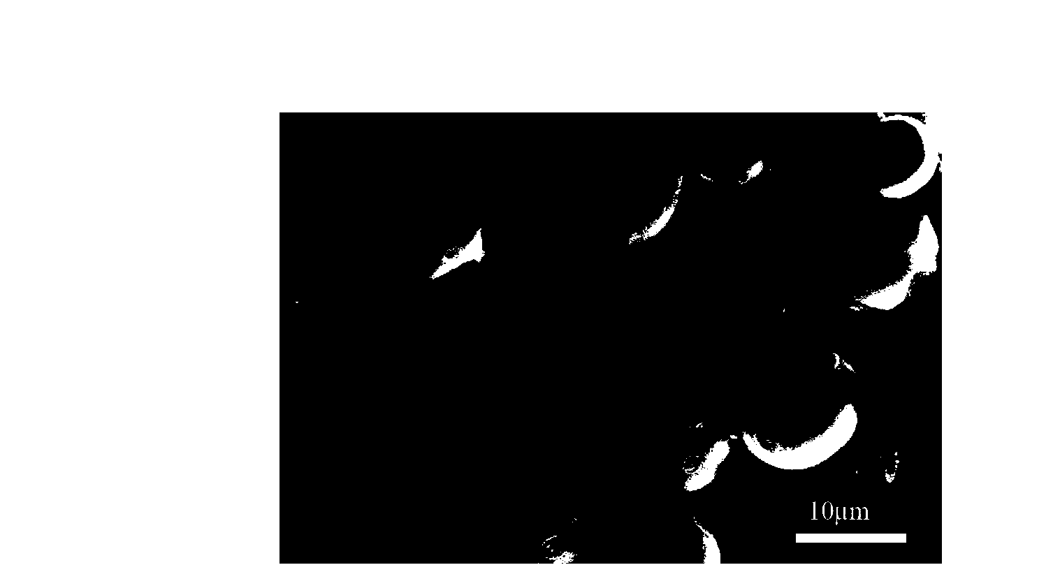 Preparation method and application of polystyrene hollow microspheres