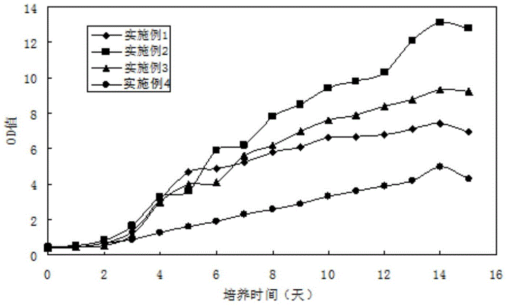 Photosynthetic organism culture apparatus