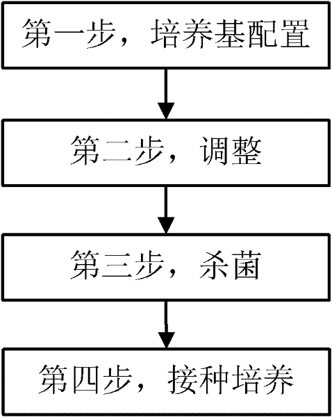 Formula and preparation method of Pleurotus eryngii liquid strain culture medium