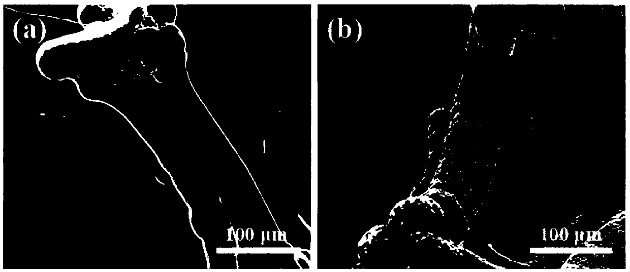 3D lithium-philic porous metal current collector, negative electrode, and preparation and application thereof