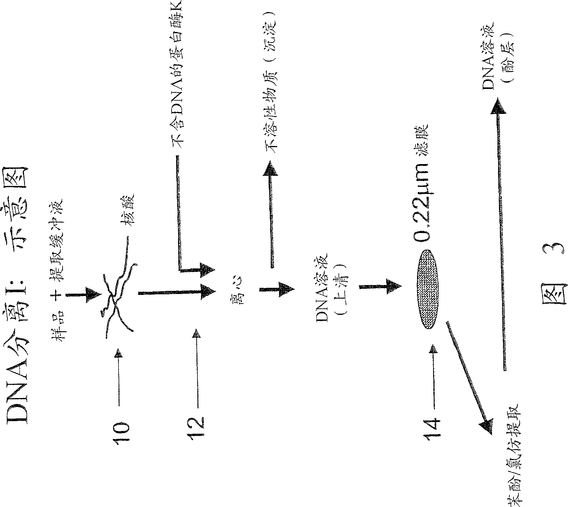 DNA extracting method and use thereof in detecting transgene component in food